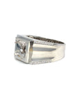 18K White Gold Diamond Men's Ring Setting